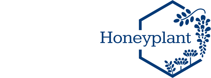 Honeyplant